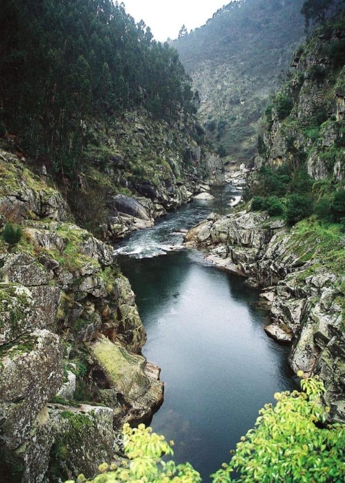 Crasto Payva Douro Nature Castelo de Paiva Zewnętrze zdjęcie